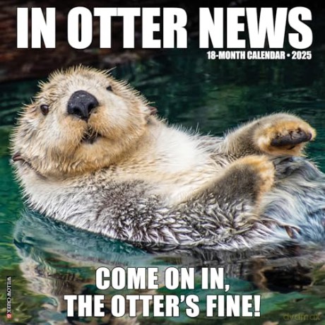 In Otter News 2025 Wall [KSIĄŻKA]