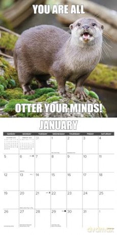 In Otter News 2025 Wall [KSIĄŻKA]