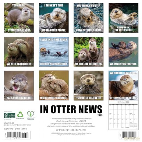 In Otter News 2025 Wall [KSIĄŻKA]