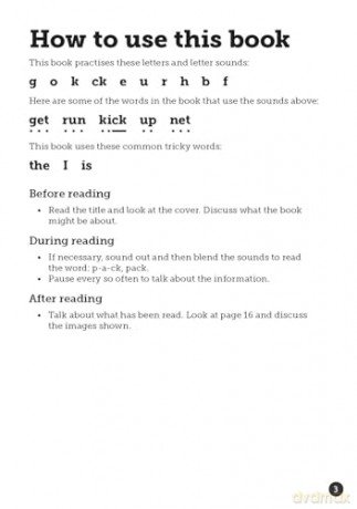 In the Net - Little Wandle high-low decodable reader for ages 7+ (Striders Phonics Readers) - Jilly Hunt [KSIĄŻKA]
