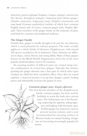 Indonesian Herbal Healing: The Science and Lore of Jamu Herbal Preparations and Treatments - Susan-Jane Beers [KSIĄŻKA]