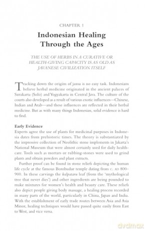 Indonesian Herbal Healing: The Science and Lore of Jamu Herbal Preparations and Treatments - Susan-Jane Beers [KSIĄŻKA]