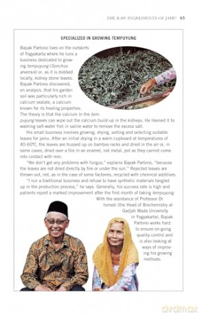 Indonesian Herbal Healing: The Science and Lore of Jamu Herbal Preparations and Treatments - Susan-Jane Beers [KSIĄŻKA]