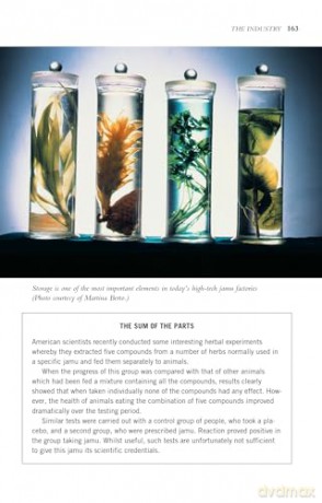 Indonesian Herbal Healing: The Science and Lore of Jamu Herbal Preparations and Treatments - Susan-Jane Beers [KSIĄŻKA]