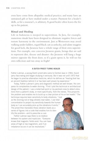 Indonesian Herbal Healing: The Science and Lore of Jamu Herbal Preparations and Treatments - Susan-Jane Beers [KSIĄŻKA]