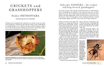Insects of the World: A fully illustrated guide to the planet's most populous group of animals - Paul Zborowski [KSIĄŻKA]