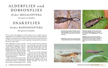 Insects of the World: A fully illustrated guide to the planet's most populous group of animals - Paul Zborowski [KSIĄŻKA]