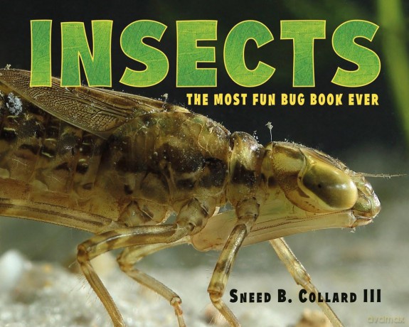 Insects: The Most Fun Bug Book Ever - Sneed B. Collard III [KSIĄŻKA]