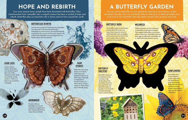 Inside Out Butterfly: Discover Nature's Most Amazing Transformation (Inside Out, Chartwell) - Editors of Chartwell Books [KSIĄŻKA]