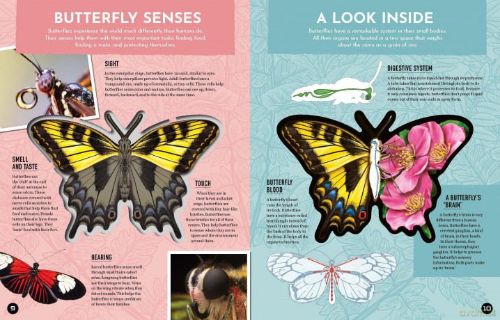 Inside Out Butterfly: Discover Nature's Most Amazing Transformation (Inside Out, Chartwell) - Editors of Chartwell Books [KSIĄŻKA]