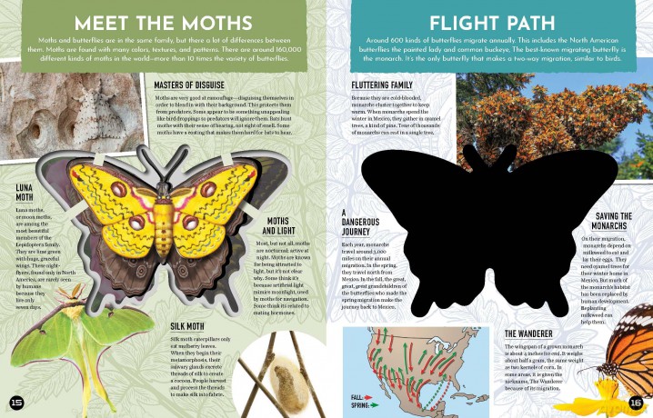 Inside Out Butterfly: Discover Nature's Most Amazing Transformation (Inside Out, Chartwell) - Editors of Chartwell Books [KSIĄŻKA]