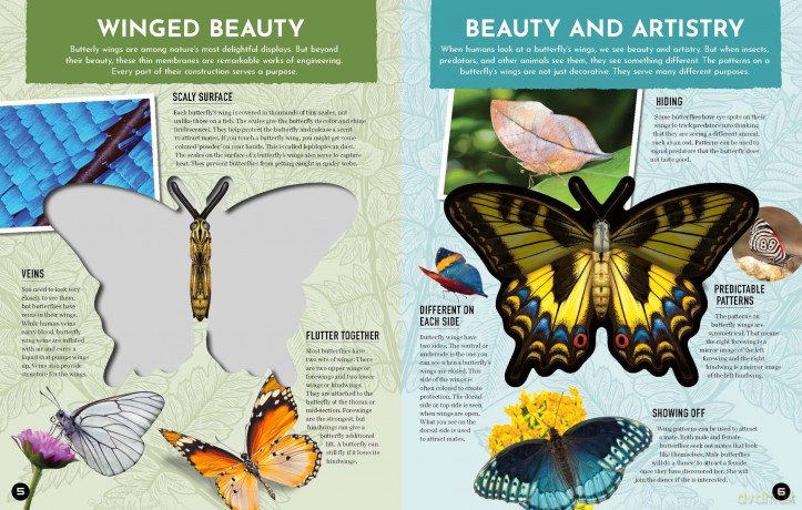 Inside Out Butterfly: Discover Nature's Most Amazing Transformation (Inside Out, Chartwell) - Editors of Chartwell Books [KSIĄŻKA]