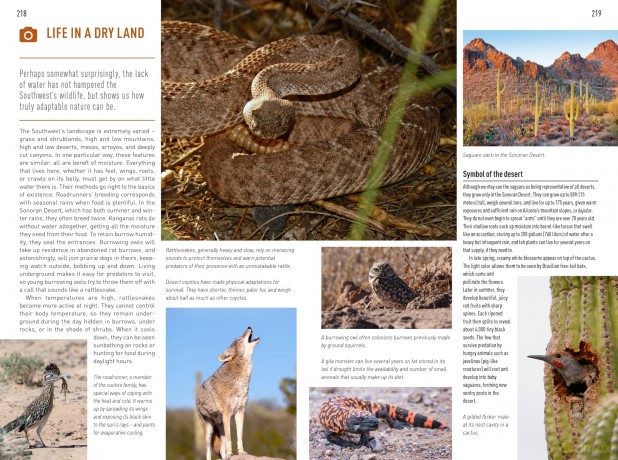 Insight Guides USA Southwest: Travel Guide with eBook: Travel Guide With Free Ebook (Insight Guides Main Series) [KSIĄŻKA]