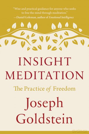 Insight Meditation: The Practice of Freedom (Shambhala Classics) - Joseph Goldstein [KSIĄŻKA]