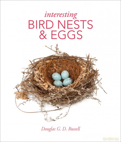 Interesting Bird Nests and Eggs - Douglas G. D. Russell [KSIĄŻKA]