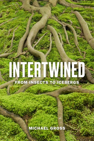 Intertwined: From Insects to Icebergs - Michael Gross [KSIĄŻKA]