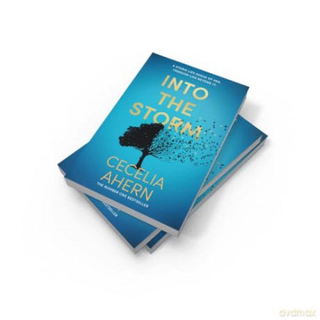Into the Storm: The unforgettable new novel for 2024 from the Sunday Times number 1 bestselling author - Cecelia Ahern [KSIĄŻKA]