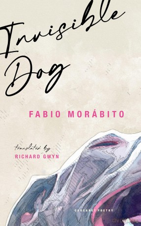 Invisible Dog - Fabio Morábito [KSIĄŻKA]