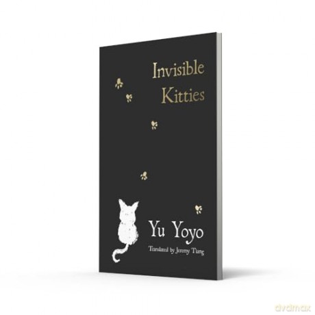 Invisible Kitties - Yu Yoyo [KSIĄŻKA]