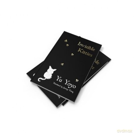 Invisible Kitties - Yu Yoyo [KSIĄŻKA]