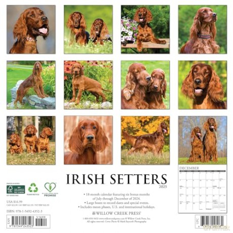 Irish Setters 2025 Wall [KSIĄŻKA]