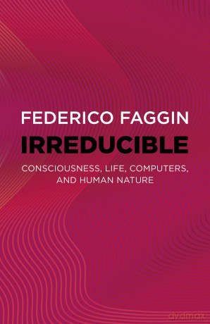Irreducible: Consciousness, Life, Computers, and Human Nature - Faggin Federico [KSIĄŻKA]
