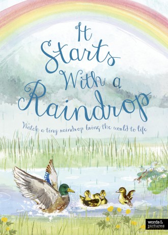 It Starts With A Raindrop - Aimee Gallagher [KSIĄŻKA]
