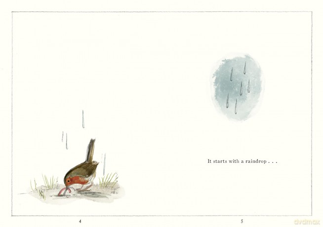 It Starts With A Raindrop - Aimee Gallagher [KSIĄŻKA]