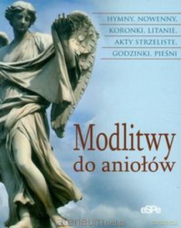Modlitwy do aniołów [KSĄŻKA]