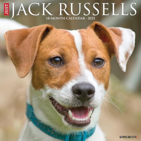 Jack Russells 2025 Wall [KSIĄŻKA]