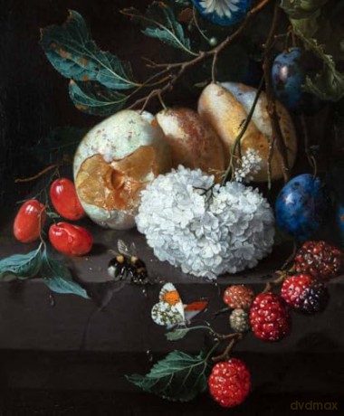 Jan Davidsz. de Heem - Fred G. Meijer [KSIĄŻKA]