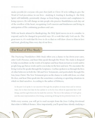 Jesus Calling: Practicing Thankfulness (Jesus Calling Bible Studies) - Sarah Young [KSIĄŻKA]