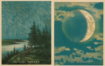 John Derian Picture Book II: 2 - John Derian [KSIĄŻKA]