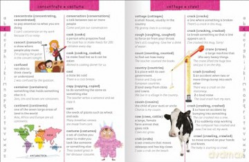 Junior Dictionary [KSIĄŻKA]
