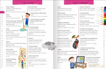 Junior Dictionary [KSIĄŻKA]