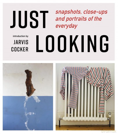 JUST LOOKING: snapshots, close-ups and portraits of the everyday - Julian Rothenstein [KSIĄŻKA]