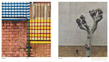 JUST LOOKING: snapshots, close-ups and portraits of the everyday - Julian Rothenstein [KSIĄŻKA]