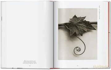 Karl Blossfeldt. The Complete Published Work. 40th Ed. - Hans Christian Adam [KSIĄŻKA]
