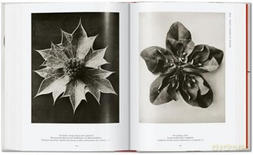 Karl Blossfeldt. The Complete Published Work. 40th Ed. - Hans Christian Adam [KSIĄŻKA]