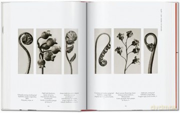 Karl Blossfeldt. The Complete Published Work. 40th Ed. - Hans Christian Adam [KSIĄŻKA]