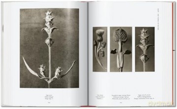 Karl Blossfeldt. The Complete Published Work. 40th Ed. - Hans Christian Adam [KSIĄŻKA]