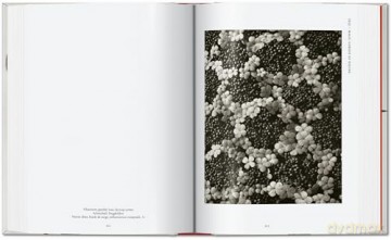 Karl Blossfeldt. The Complete Published Work. 40th Ed. - Hans Christian Adam [KSIĄŻKA]