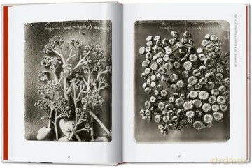 Karl Blossfeldt. The Complete Published Work. 40th Ed. - Hans Christian Adam [KSIĄŻKA]