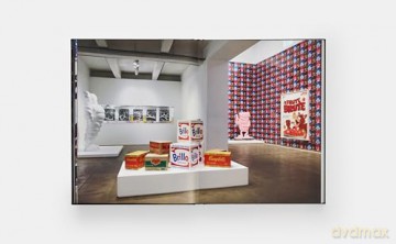 KAWS + Warhol - Patrick Moore [KSIĄŻKA]