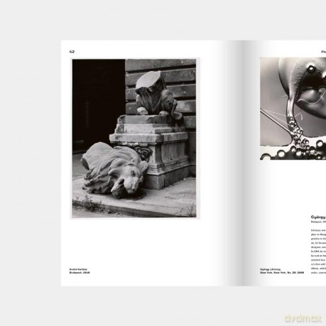 Kertesz, Capa, Moholy-Nagy: Hungarian Photographers in America (1914 1989) - Alex Nyerges [KSIĄŻKA]