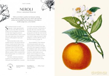 Kew - Fragrance: From plant to perfume, the botanical origins of scent - Josh Carter [KSIĄŻKA]