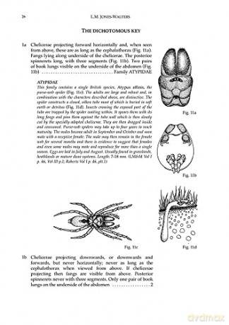 Keys to the Families of British Spiders (AIDGAP) - L. Jones-Walters [KSIĄŻKA]