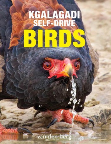 Kgalagadi Self-Drive Birds - Philip van den Berg [KSIĄŻKA]