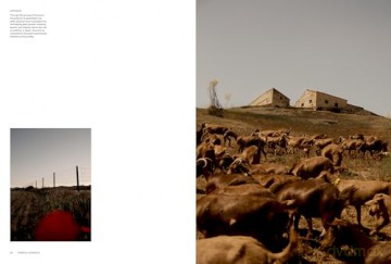 Kinfolk Journeys: Kinfolk Adventures - John Burns [KSIĄŻKA]