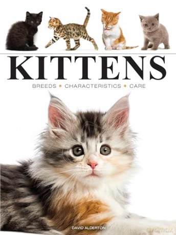 Kittens (Mini Animals) (Mini Encyclopedias) - David Alderton [KSIĄŻKA]